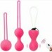 Redvil Kegel Vajinal Top Seti Pembe 16,5 cm