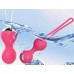 Redvil Kegel Vajinal Top Seti Pembe 16,5 cm